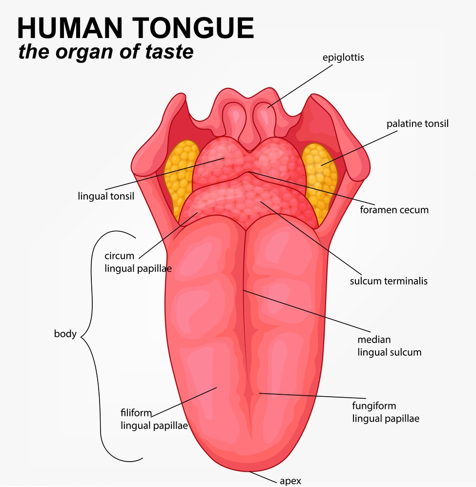 1669688156165145.png 圖片1.png