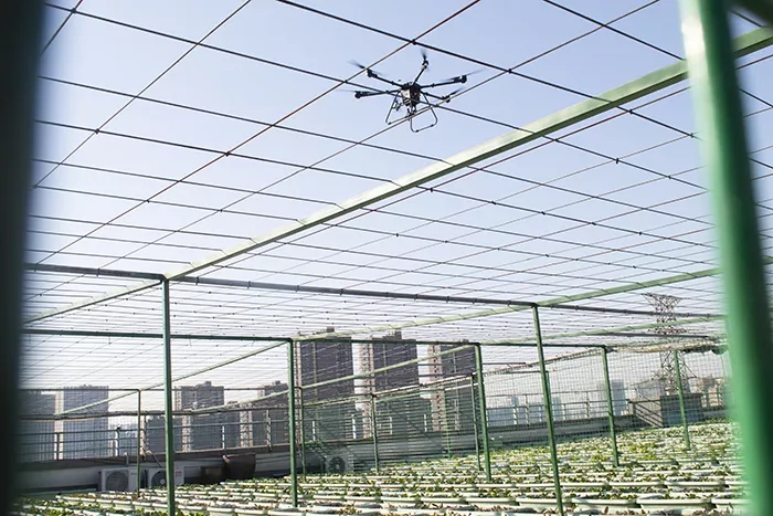 基于無人機高光譜技術(shù)的煙草生化指標(biāo)分析研究