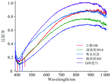 基于高光譜成像技術的稻谷品種鑒別研究