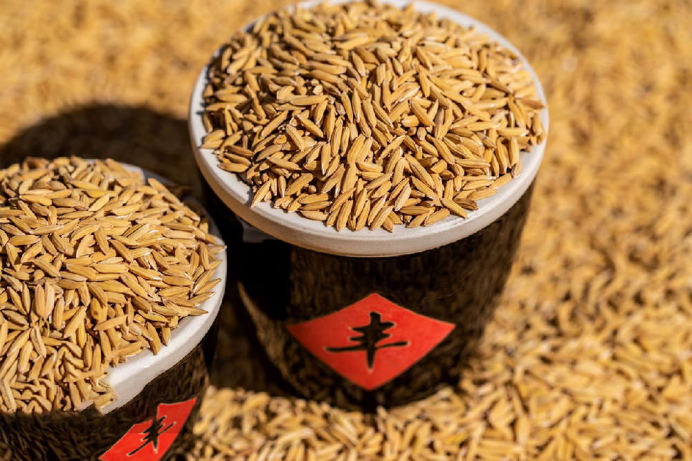 基于高光譜成像技術的稻谷品種鑒別研究