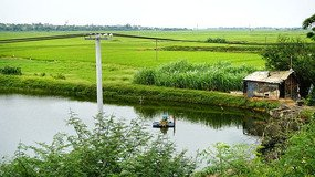 基于無人機(jī)高光譜遙感技術(shù)對內(nèi)陸?zhàn)B殖池塘水質(zhì)監(jiān)測的研究