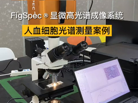 人血細胞光譜測量案例