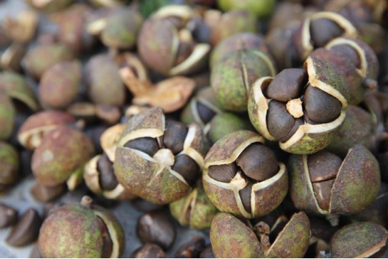 1708581365132919.png image.png