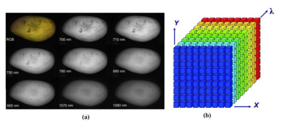 高光譜顯微成像對(duì)植物細(xì)胞檢測(cè)的研究與應(yīng)用