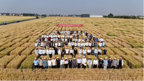 機(jī)載高光譜為作物田間表型精準(zhǔn)鑒定插上翅膀