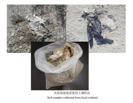 高光譜成像技術(shù)在土壤微塑料檢測中的應(yīng)用與探索