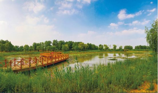 彩譜FigSpec機(jī)載高光譜相機(jī)FS-60對于洱海濕地植被的光譜分析及識別模型構(gòu)建