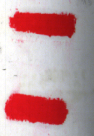 高光譜相機(jī)：還原涂抹字跡的新利器