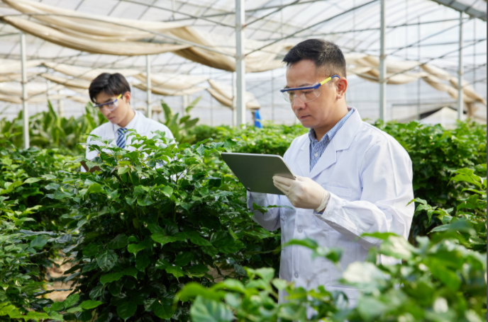 植物表型高光譜相機哪家好？