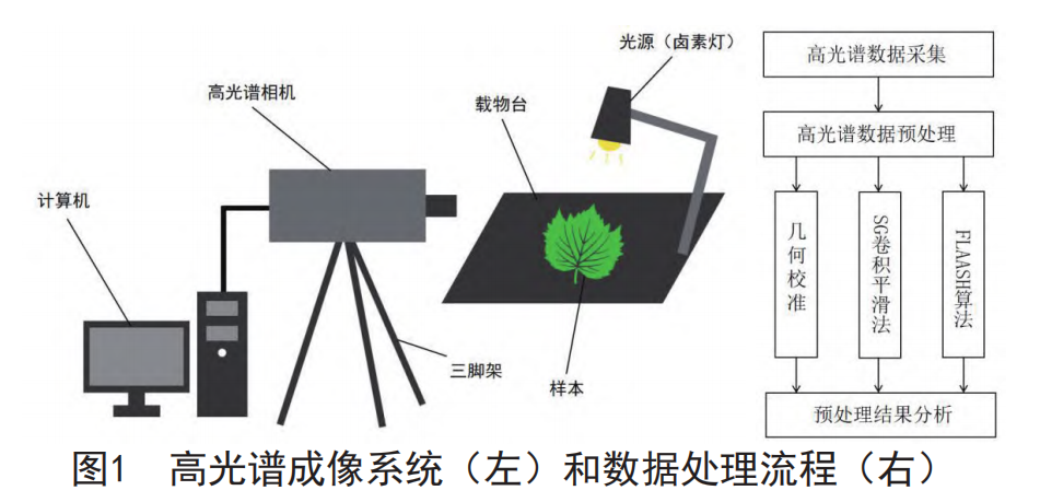 1765871063161605.png 1765871063161605.png